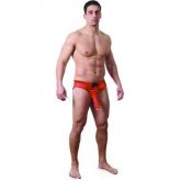 Cueca Sexy fantasia Elefante