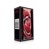 Ex-Y Soft Love é um creme excitante feminino